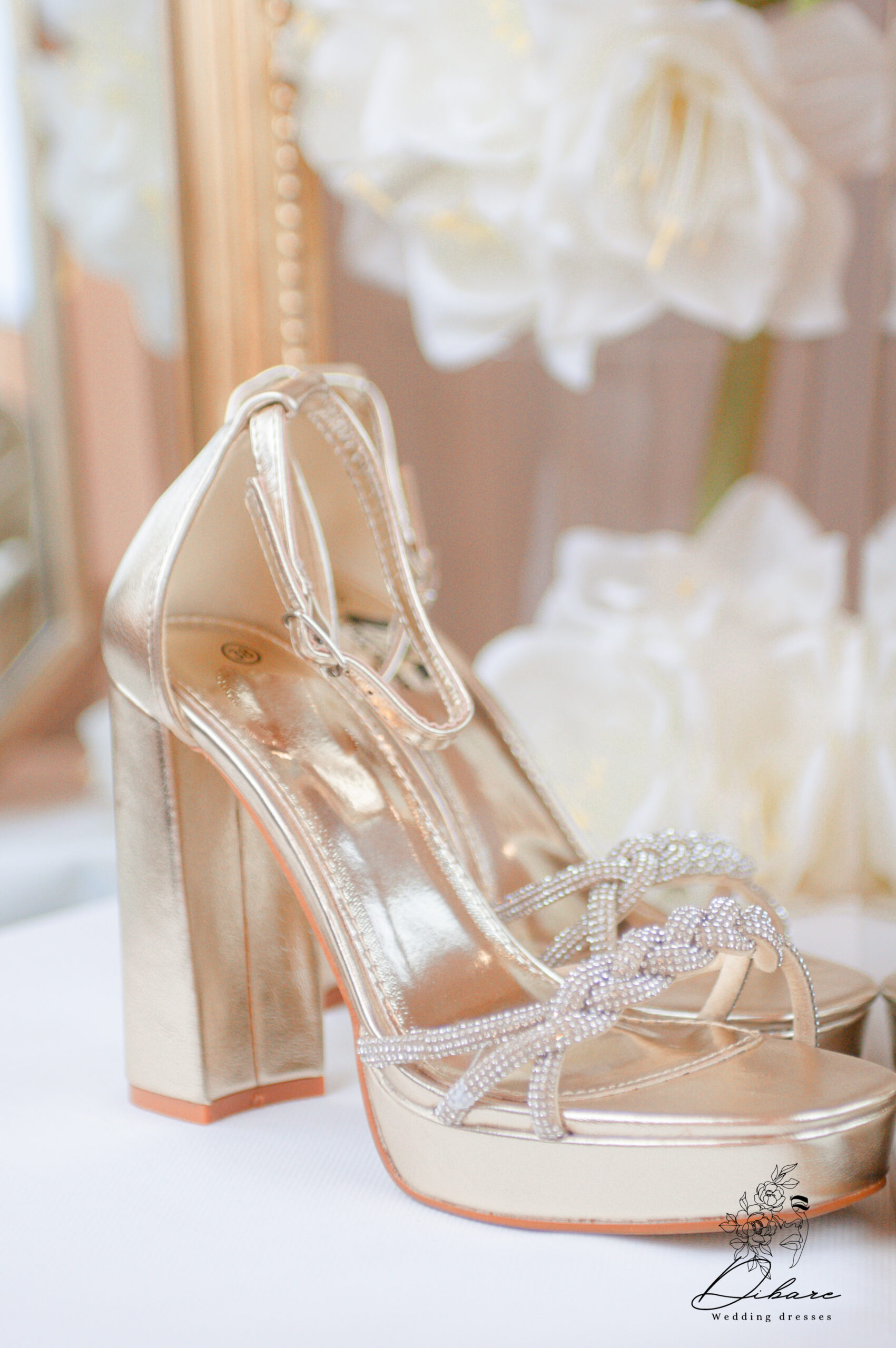 Untitled (237 of 260)